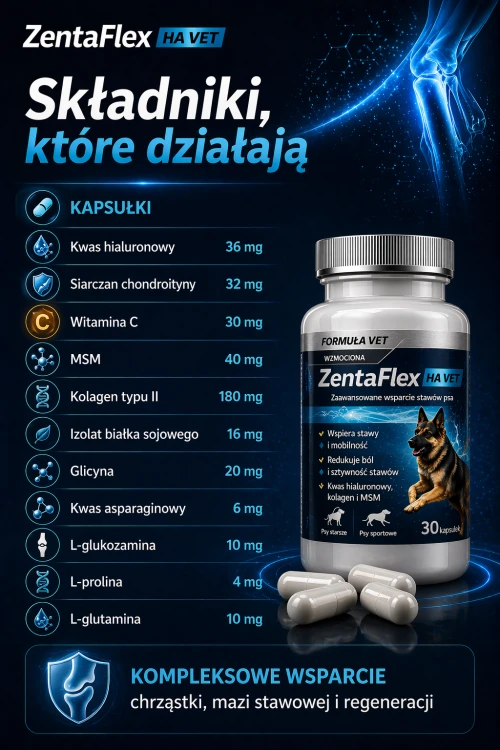 ZentaFlex slajd smacz i kaps skład kapsułek - dobry.png