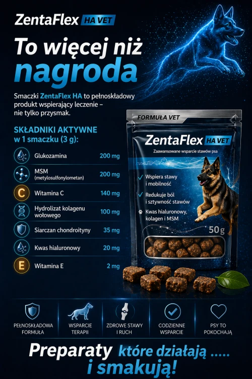 ZentaFlex HA slajd skład snaczki dobry.png
