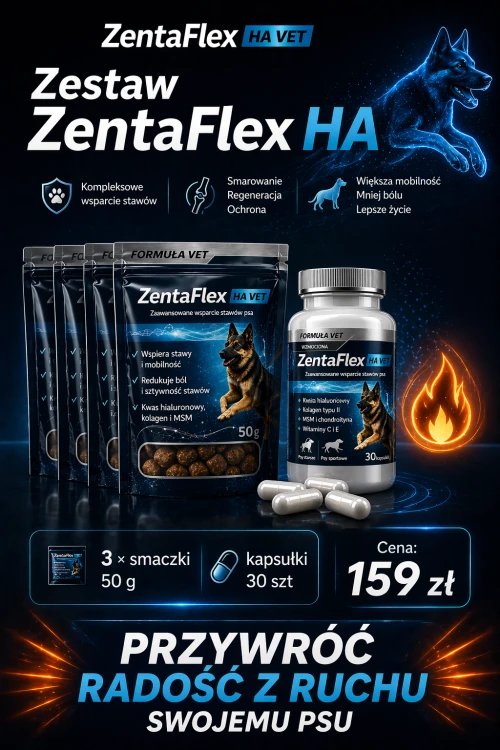 ZentaFlex HA - slajd snack i kaps cena zestaw.png